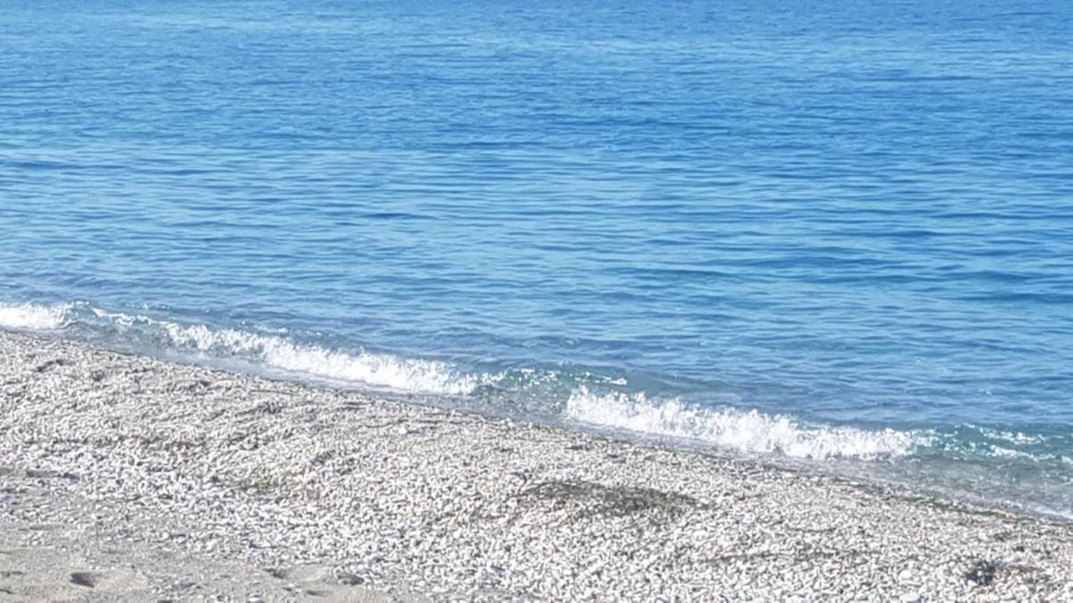 To Giouli Otel Golos Dış mekan fotoğraf